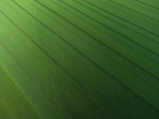 View from drone on the fields
