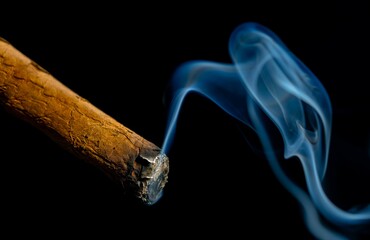 Smoking cuban cigar with blue smoke on an isolated black background. A Havana cigar burns and emits...