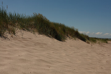 The Baltic Sea, wild coastal dunes