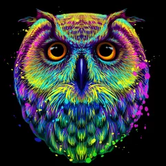 Acrylic prints Owl Cartoons Owl. Abstract, neon, graphic  portrait of an owl in the style of pop art on a dark blue background. Digital vector drawing