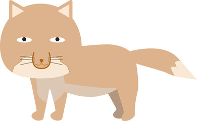 可愛いチベットスナギツネ