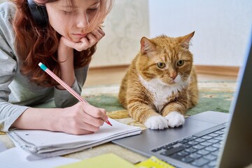 Preteen girl studying at home with ginger cat using laptop © Valerii Honcharuk