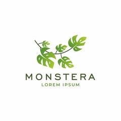 Tropical plant leaves logo. Monstera leaves logo design. Vector illustrations.