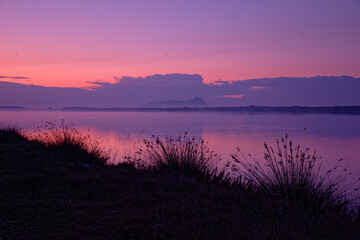 Lake fogliano at dawn, Circeo national park.  Italy