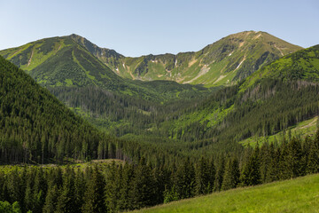 Landscape in Chocholowka Valley in tatra National Park mountains in Poland near Zakopane