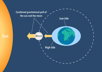 How sea tides are caused by the gravitational pull of the moon and the sun 