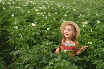 Laughing funny girl in braided hat stands in field with flowering potatoes. Farm plantation for growing vegetables. A beautiful sincere child