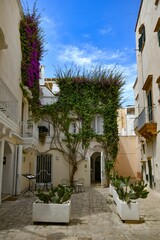 The Apulian city of Gallipoli.