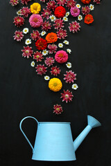decorative watering can and garden flowers on a dark