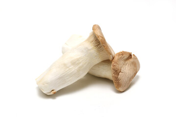 Fototapeta premium 白背景のエリンギ