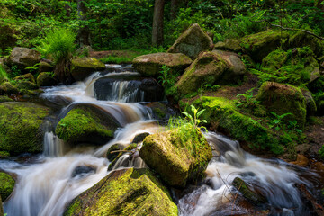 stream in a green forest on summer warm days. Peak District national park.