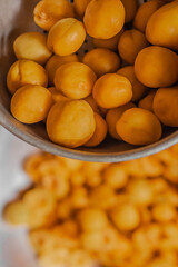 Naklejka na ściany i meble Freshly picked apricots lie in sieve dripping in big metal basin after washing under water.Pile of juicy,ripe fruits halves,slices the workpiece to jam.Summer harvest,canning concept.Farmer worked