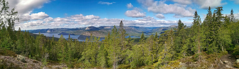 Fototapeta na wymiar panorama over lakes and montains in Norway