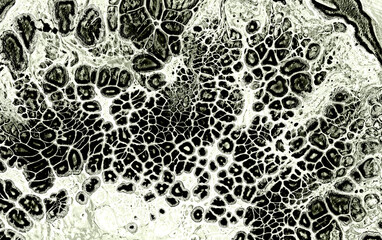 Monochrome grange abstract texture with acrylic pouring bubbles effect. For business card, posters, postcards, advertising, wall art, panel, cover, holiday invitations. Contemporary Liquid Art. 