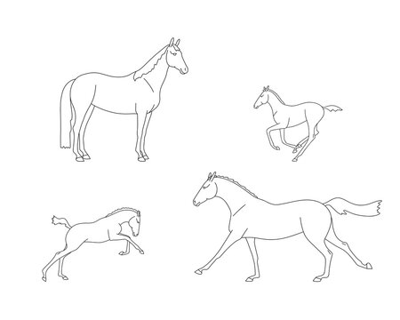 Set of mares  with their foals, linear contours for coloring