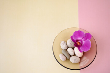 A purple orchid lies in a saucer with sea stones on a yellow and pink background.