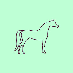 Line drawing of the horse body vector with green background template