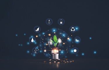 Environmental protection and renewable energy concept, Growing green tree on light bulb with stack of coins, Alternative sources of energy, Reducing costs by using renewable energy. - obrazy, fototapety, plakaty