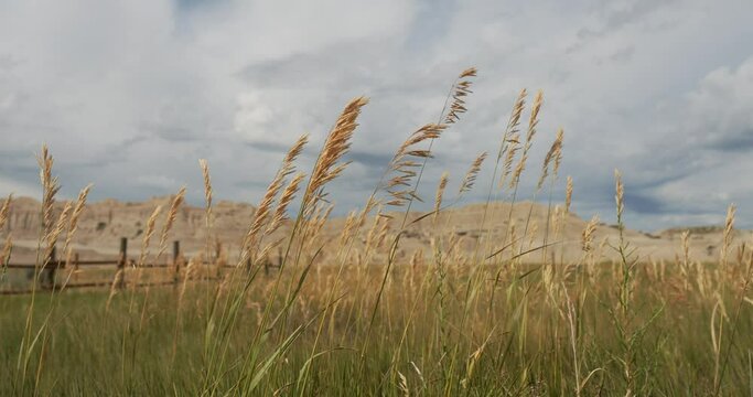 Grass moving in slow motion in front of Nebraska badlands