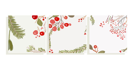 illustration of a christmas background set with berries