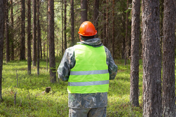 A forest engineer conducts a survey of the forest for logging.