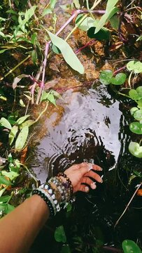Person touching water, Water, Hand, Arm, Stream of water,  Nature,