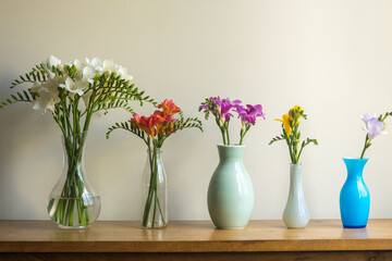 Close up of colorful freesia flowers in seperate vases arranged in a row on wooden table (selective focus)