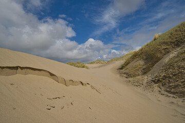 Hohe Sanddünen mit Strandhafer an der Nordsee