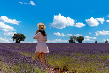 young woman in lavender fields