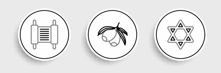 Set line Star of David, Torah scroll and Olives branch icon. Vector