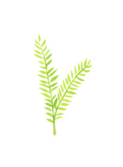 цветы яркие