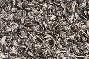 Beautiful sunflower seeds image