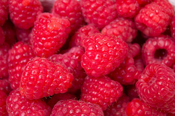lots of fresh red raspberries