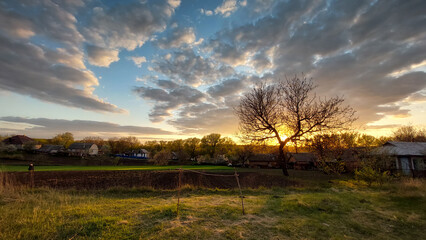 Spring rural landscape, silhouette of an old walnut without leaves against the background of the evening sky, color image.