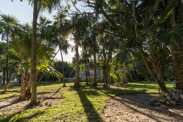 Obraz premium mayan ruins in the mexican caribbean