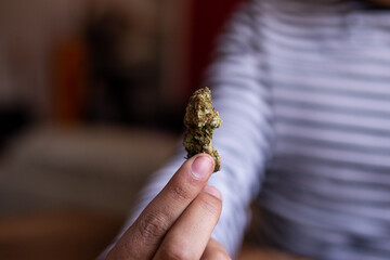 manos sosteniendo marihuana (Cannabis). Concepto de medicina natural. © artrolopzimages