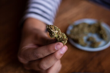 manos sosteniendo marihuana (Cannabis). Concepto de medicina natural. © artrolopzimages