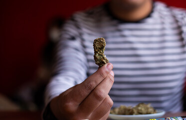 manos sosteniendo marihuana (Cannabis). Concepto de medicina natural. © artrolopzimages