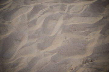 sand background texture, nature desert
