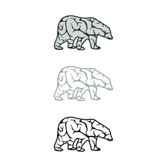 the brain forms a bear vector