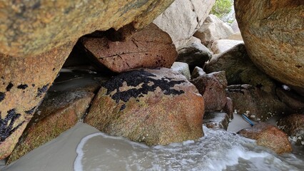 Canasvieiras Praia Florianópolis Santa Catarina