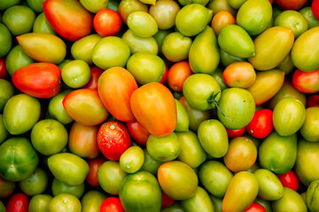 freshly harvested different-colored tomato still life photography