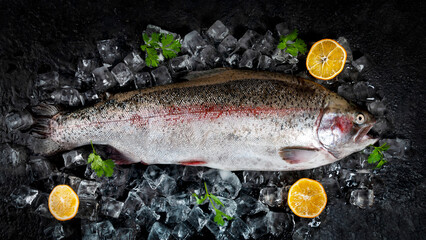 Cutting fresh fish before cooking.