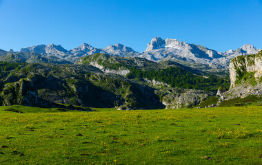 Obraz premium Unique summer landscape of Peaks of Europe with rocky mountain ranges and greenery on foothills, Spain