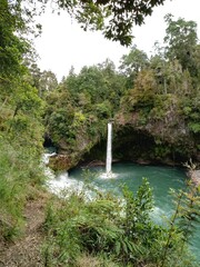 waterfall in the forest