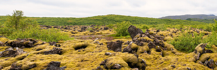 A lava field in Iceland