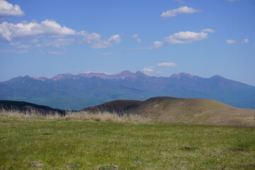 山