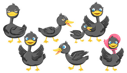 Set of different mallard duck cartoon characters