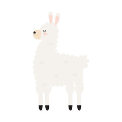 sweet llama image