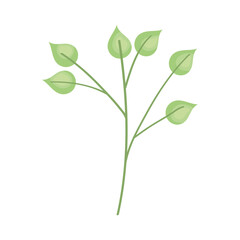 branch with green leaves